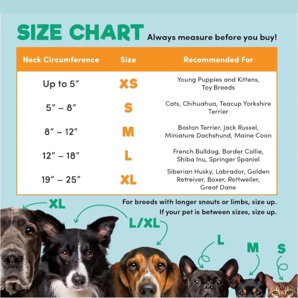 Inflatable Collar for Dogs Soft Pet Recovery Collar E-Collar Large - Picture 5 of 8